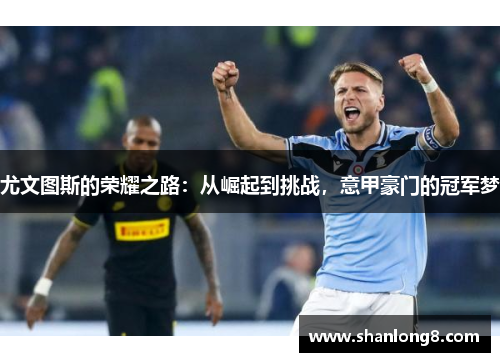 尤文图斯的荣耀之路：从崛起到挑战，意甲豪门的冠军梦
