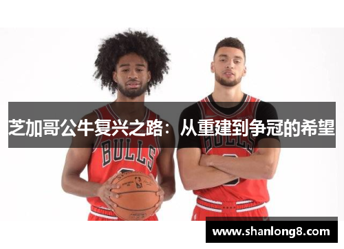 芝加哥公牛复兴之路：从重建到争冠的希望