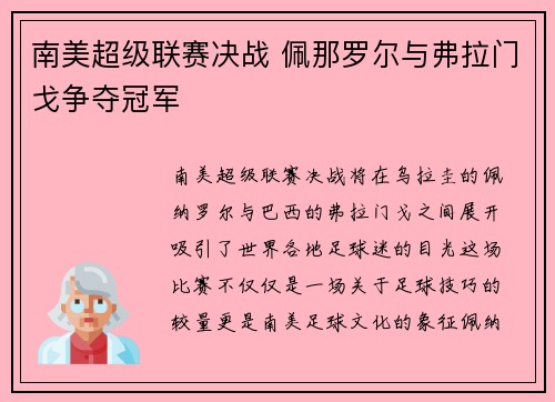 南美超级联赛决战 佩那罗尔与弗拉门戈争夺冠军
