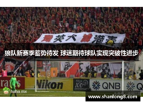 狼队新赛季蓄势待发 球迷期待球队实现突破性进步