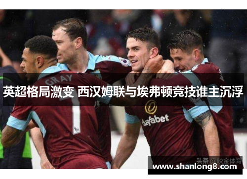 英超格局激变 西汉姆联与埃弗顿竞技谁主沉浮